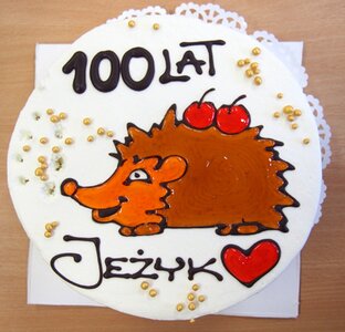 Jerzykowe urodzinki 7